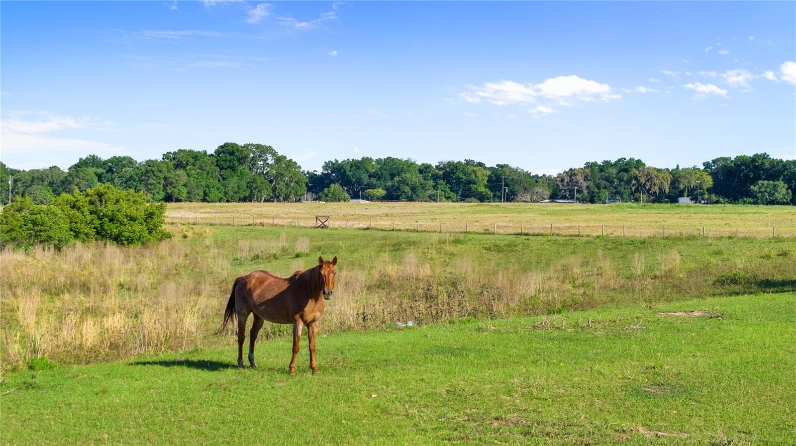 Land at 10710 OSPREY LANDING LOT 48 WAY, THONOTOSASSA, photo 61 of 74