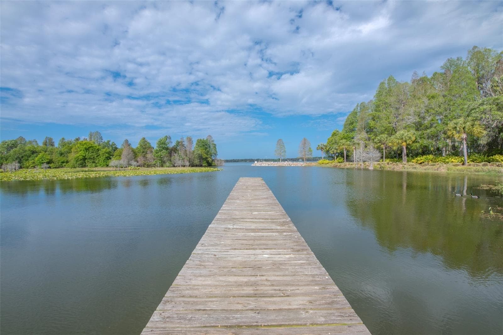 Land at 10710 OSPREY LANDING LOT 48 WAY, THONOTOSASSA, photo 66 of 74