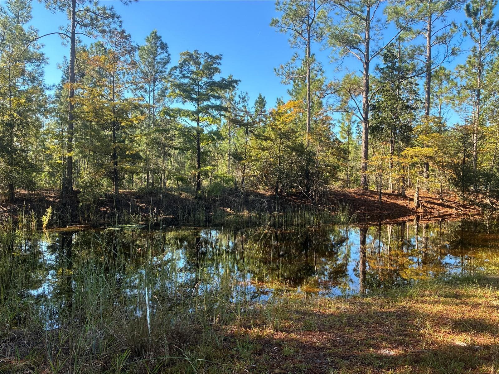 Lovely seasonal pond, view from the yard - 24939 OLD DEER RD, PAISLEY