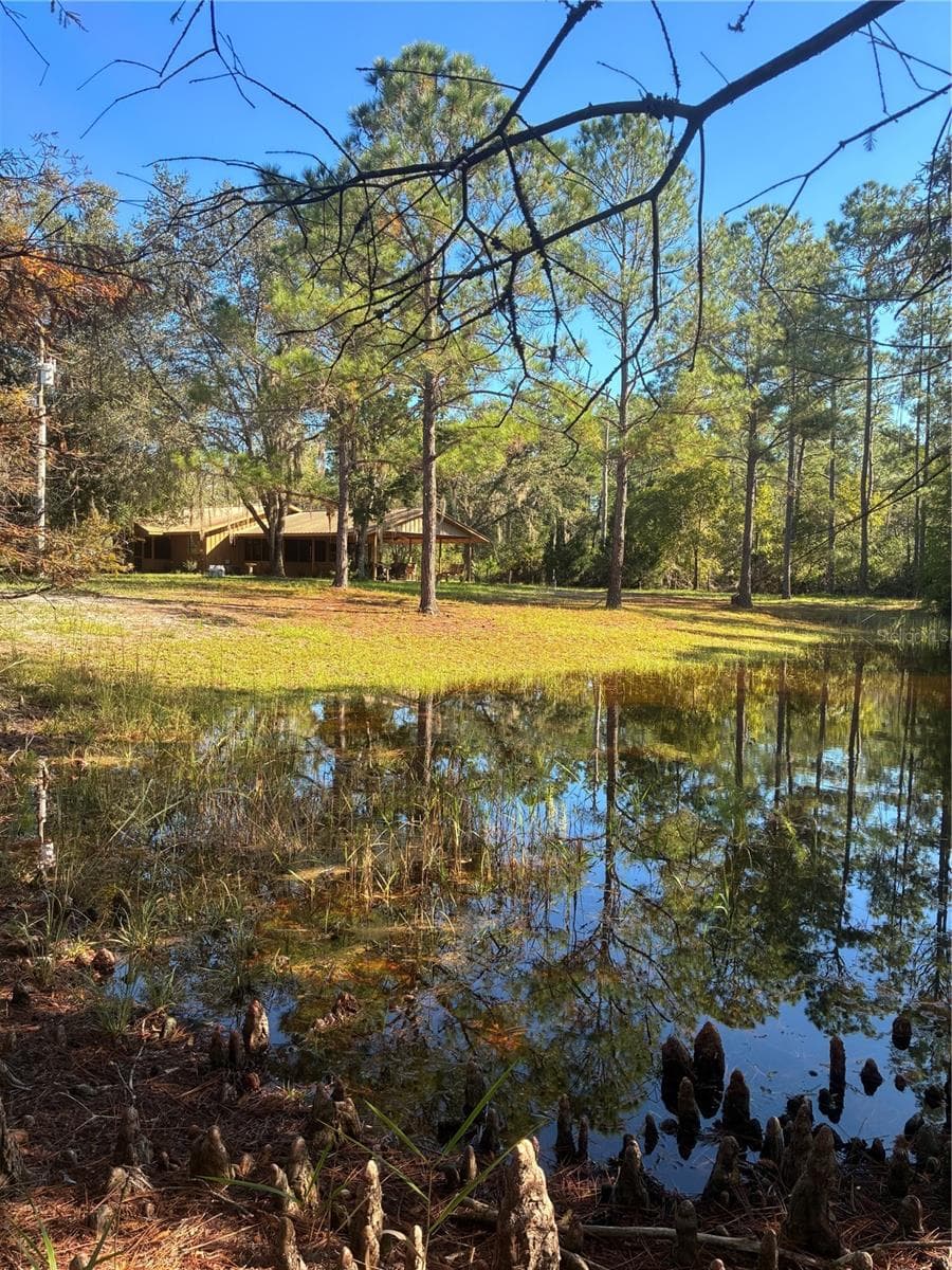 View across the pond to the house - 24939 OLD DEER RD, PAISLEY