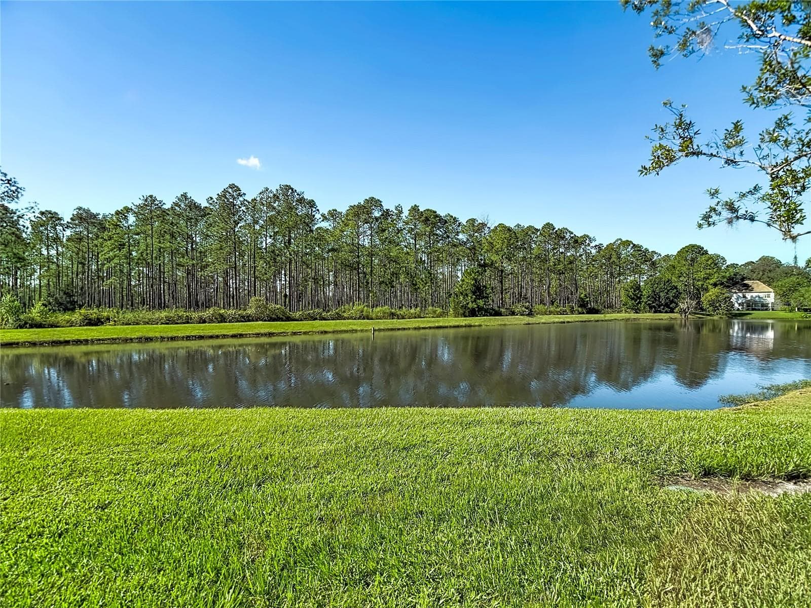 Condominium at 9481 HIGHLAND OAK DR #1202, TAMPA, photo 30 of 42