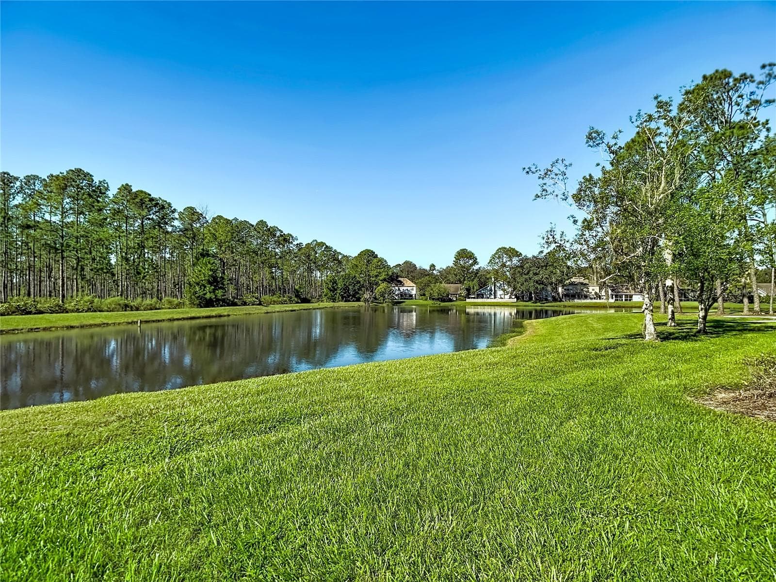 Condominium at 9481 HIGHLAND OAK DR #1202, TAMPA, photo 31 of 42