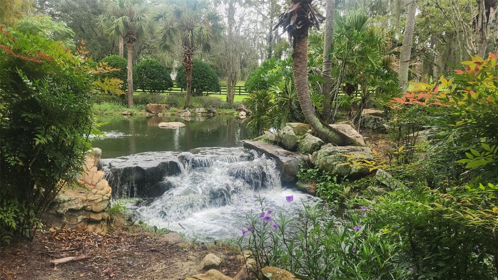 Walking Trail Neighborhood Views - 21630 BELGIAN CT, MOUNT DORA