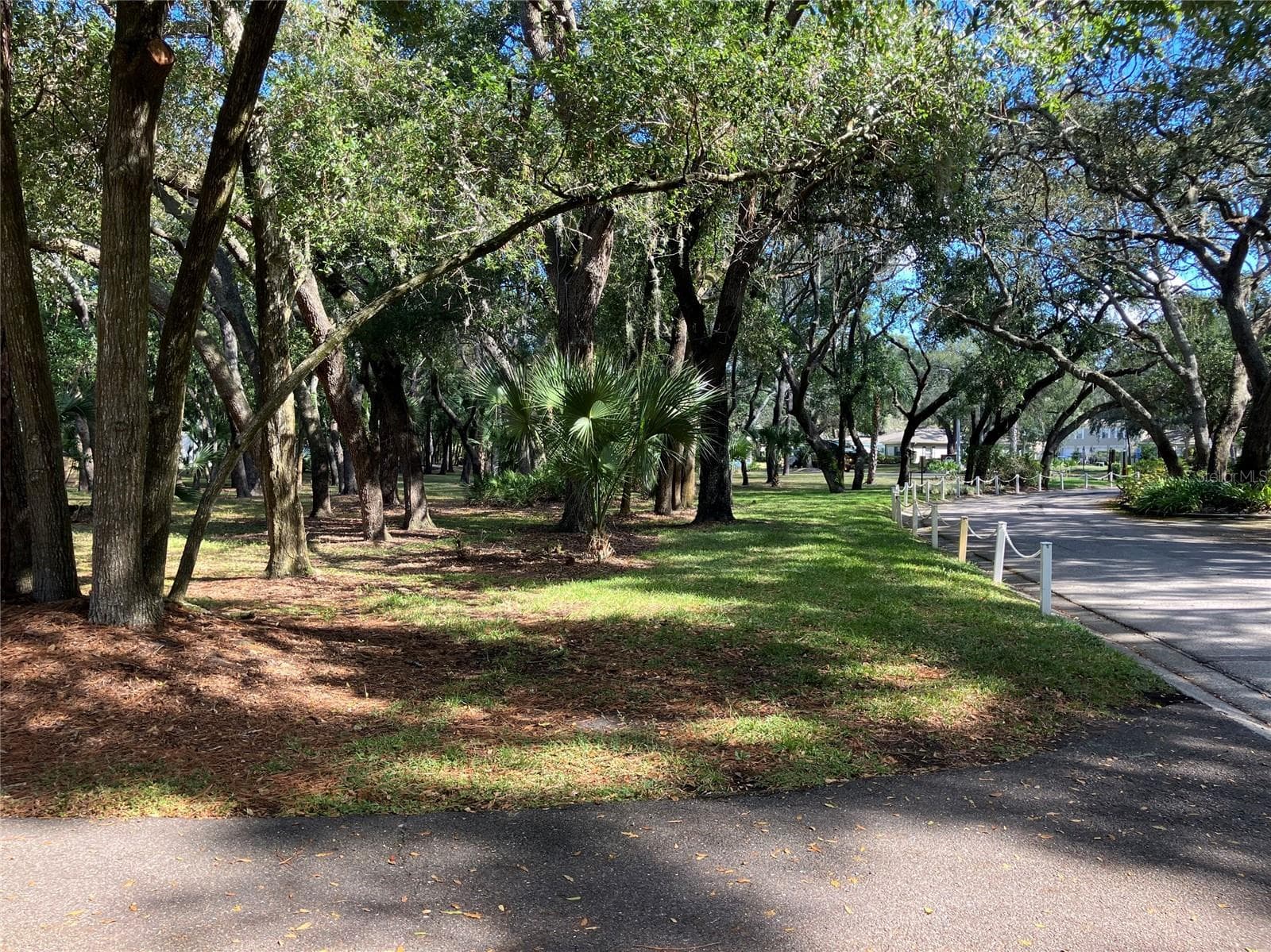 Condominium at 11703 RAINTREE VILLAGE BLVD #B, TEMPLE TERRACE, photo 57 of 60