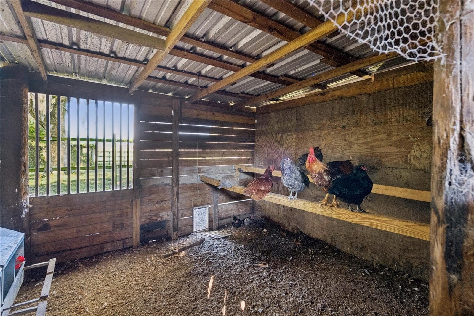 Chicken coop - 1350 ARAPAHO TRL, GENEVA