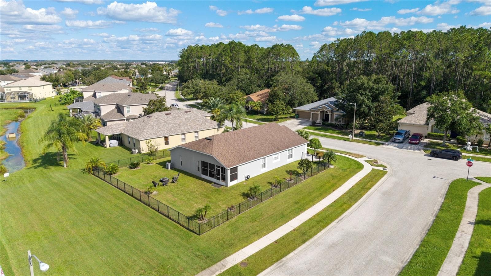 Corner landscaped lot tin back of community for privacy - 7619 CRESCENT PALM DR, WESLEY CHAPEL