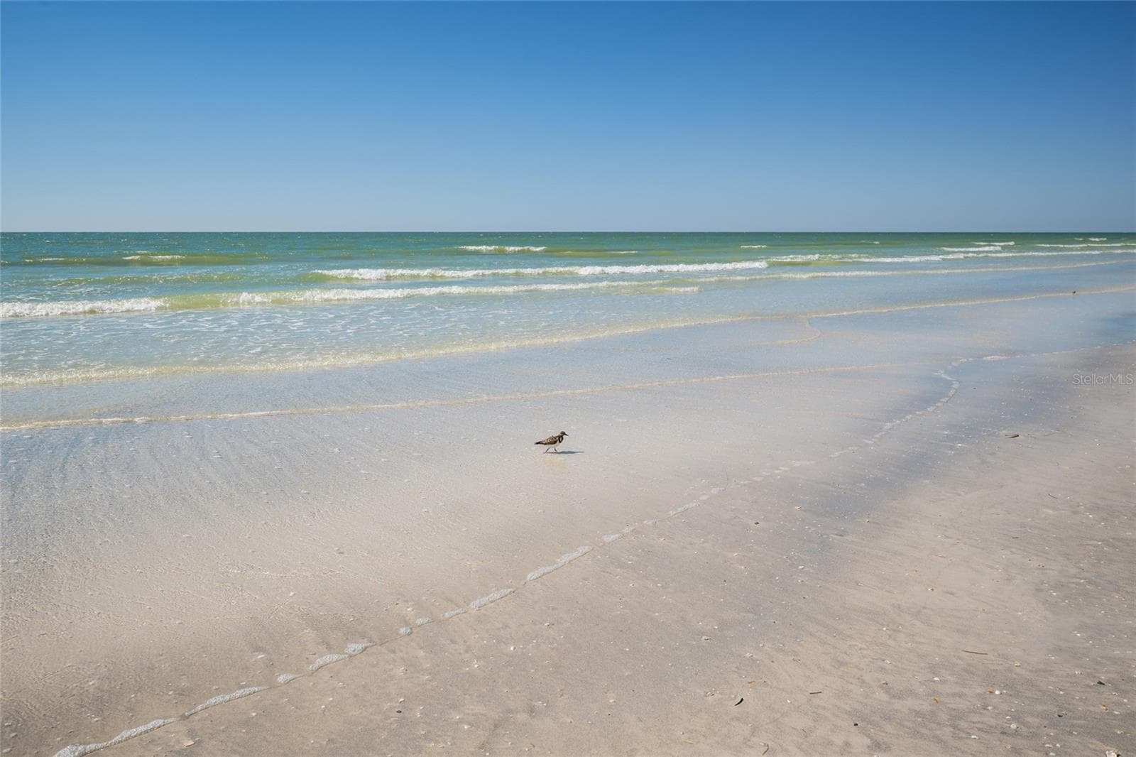 Condominium at 19600 GULF BLVD #202, INDIAN SHORES, photo 42 of 57