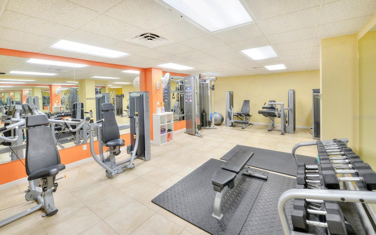 Fitness Center - Weights & Strength Training - 2545 S ATLANTIC AVE #403, DAYTONA BEACH SHORES