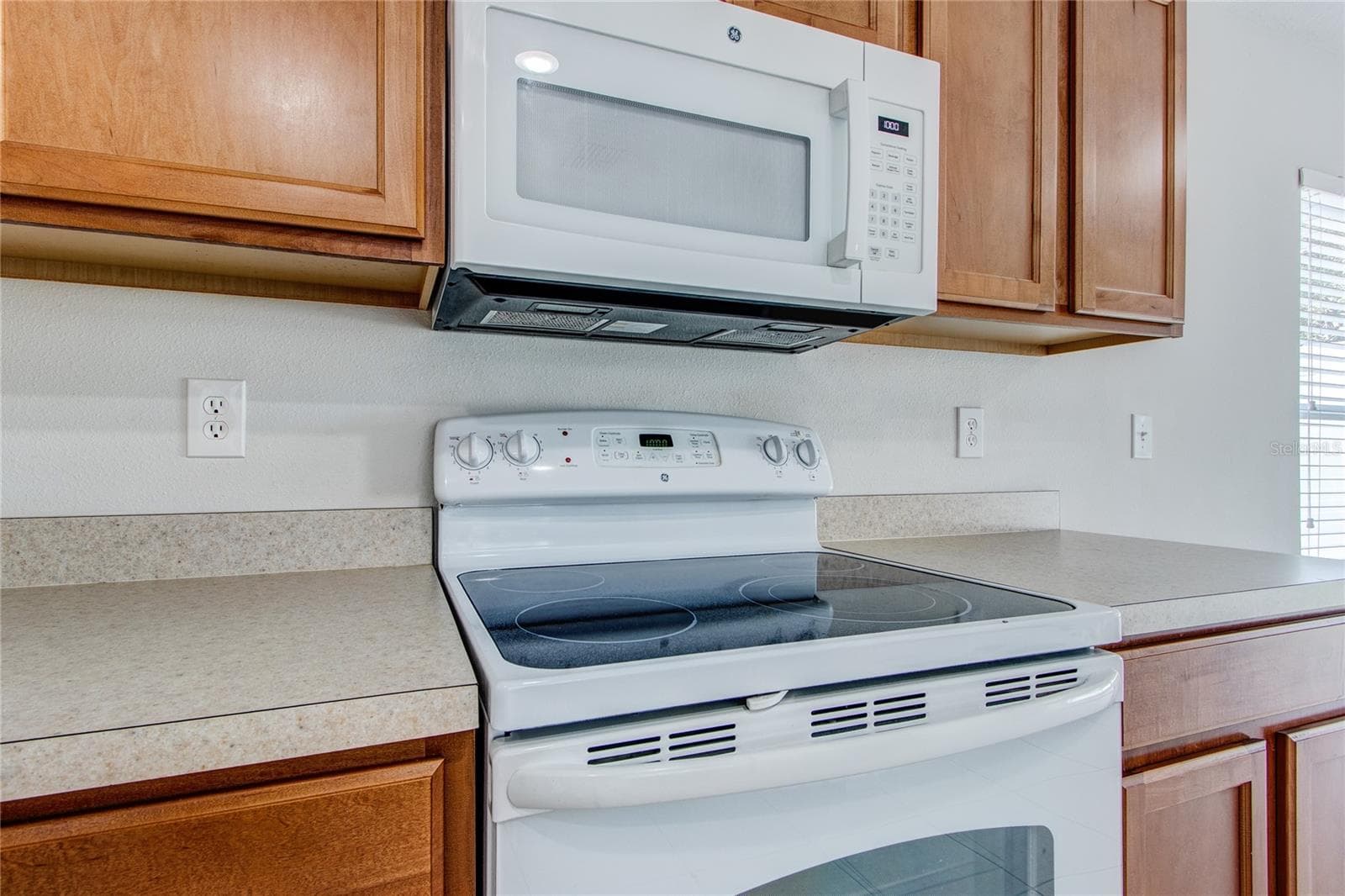Single Family Residence at 3323 WHITLEY BAY CT, LAND O LAKES, photo 20 of 99