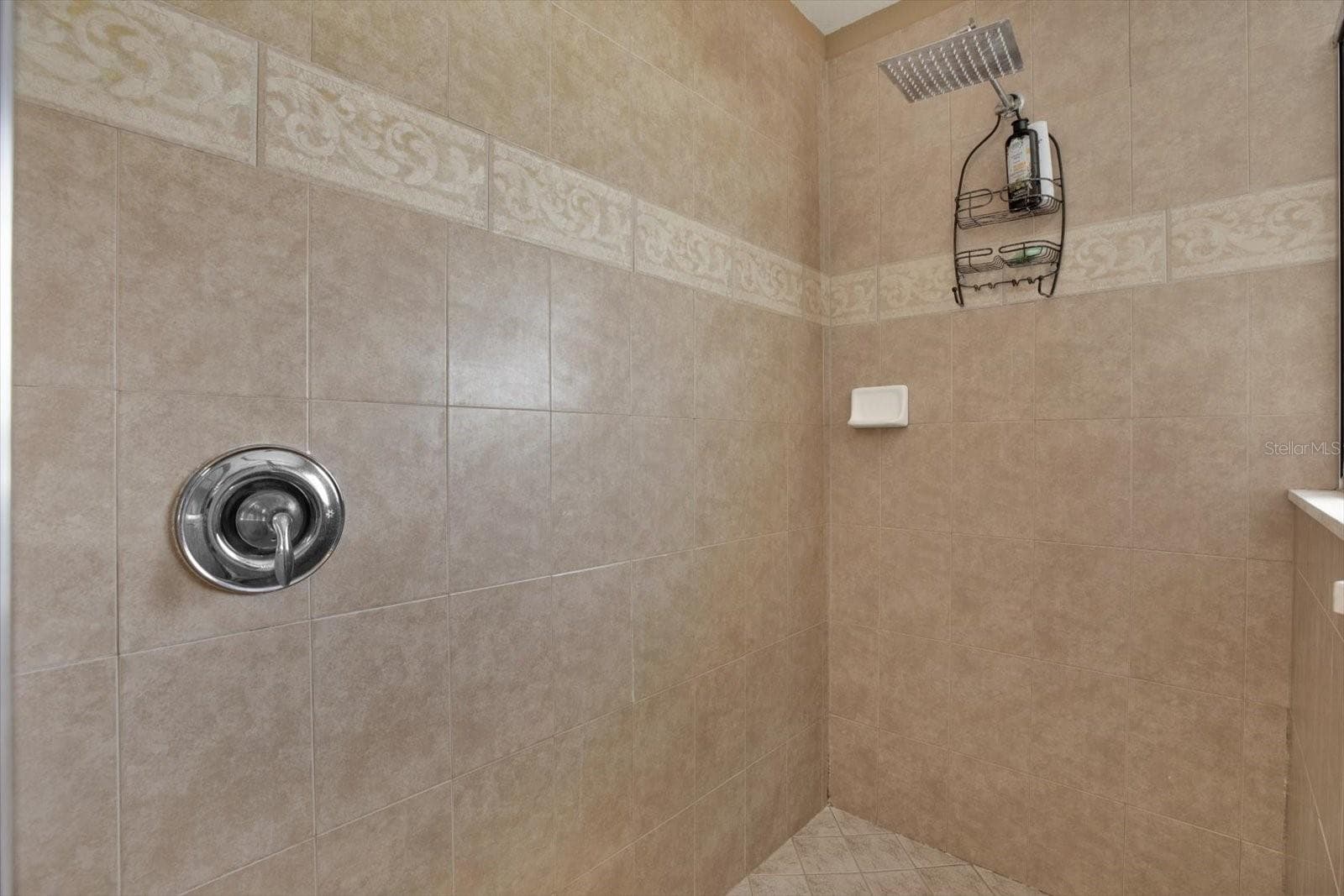 Single Family Residence at 7127 FOREST MERE DR, RIVERVIEW, photo 40 of 77
