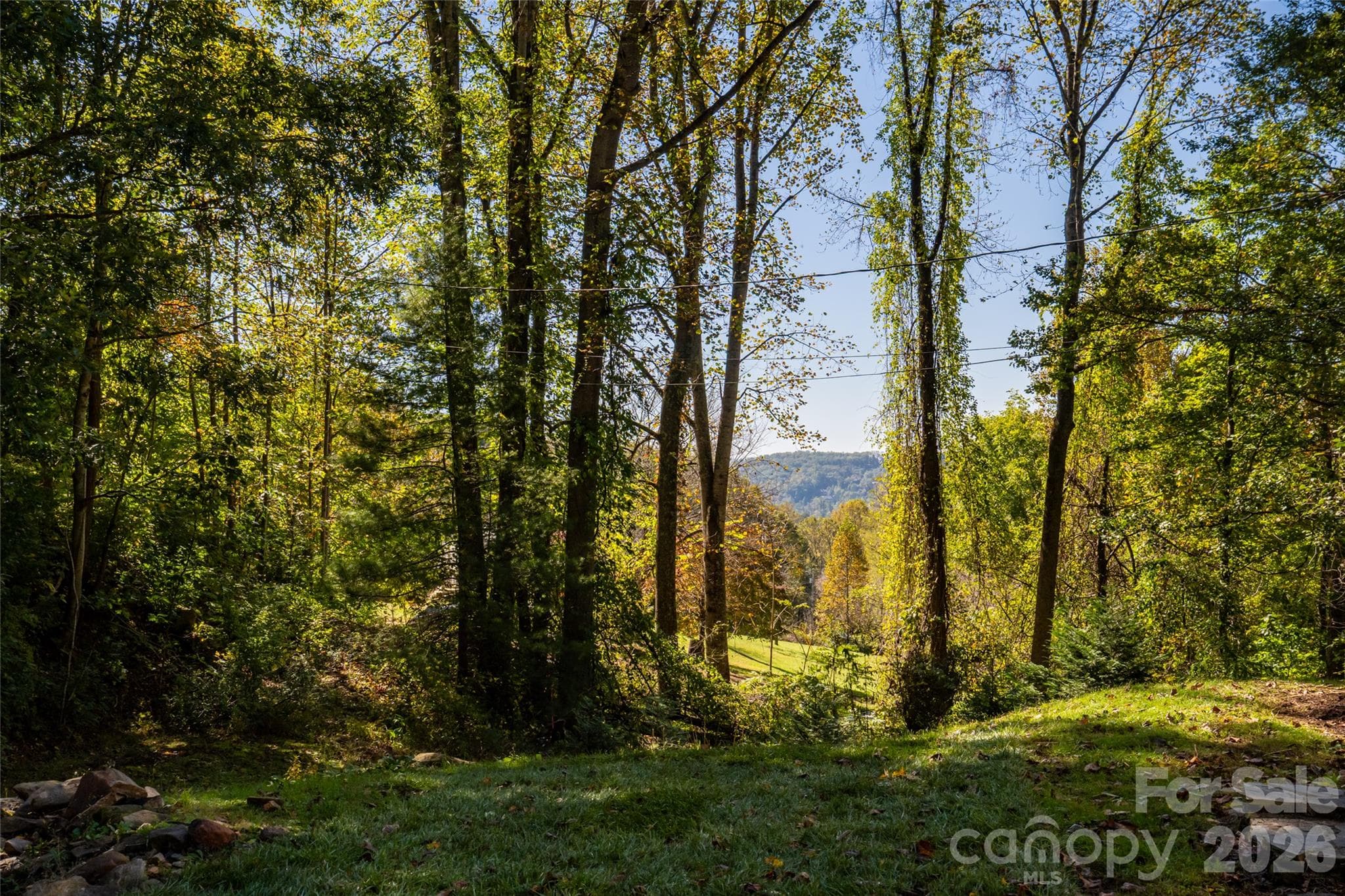 Back yard view - 89 Sayles Town Road, Fairview