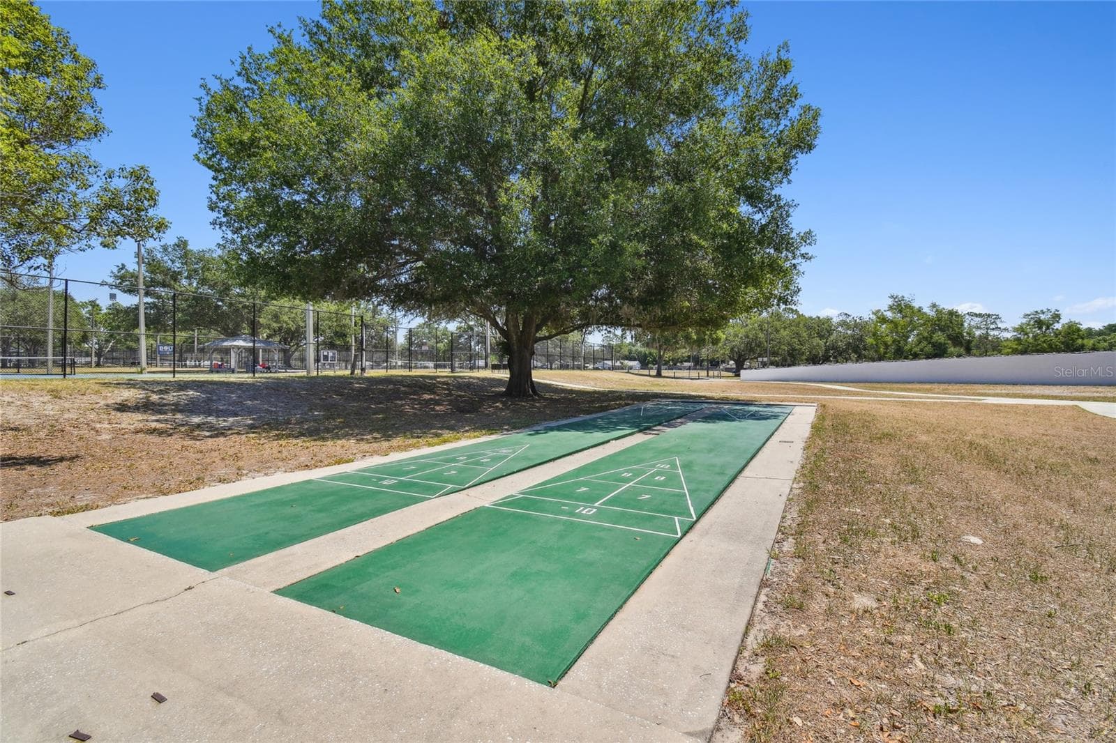 Shuffleboard - 23227 CLUB VILLAS DR #38, LAND O LAKES