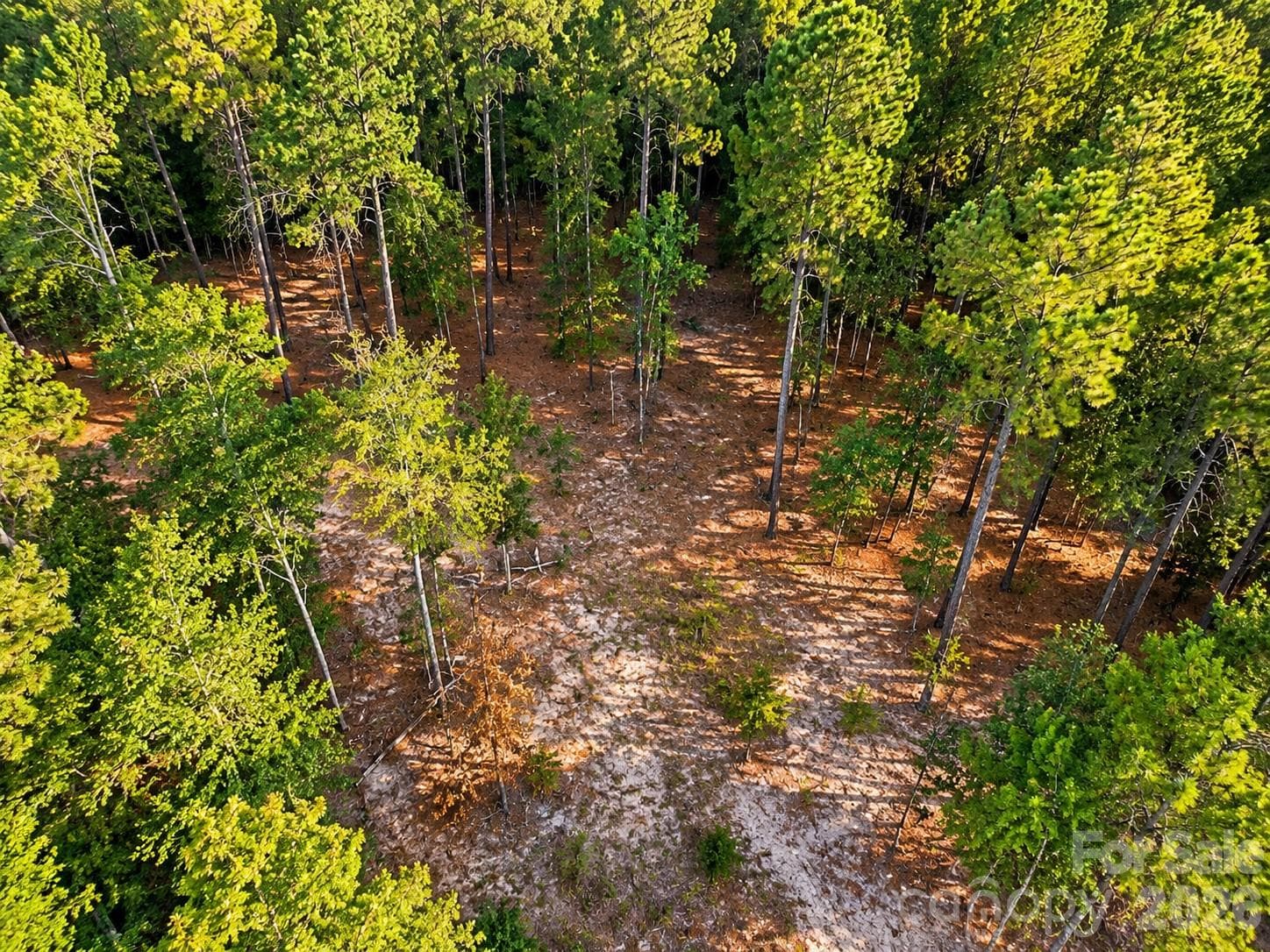 Lot at TBD/Land LOT B SW Beaker Road, Heath Springs, photo 2 of 4