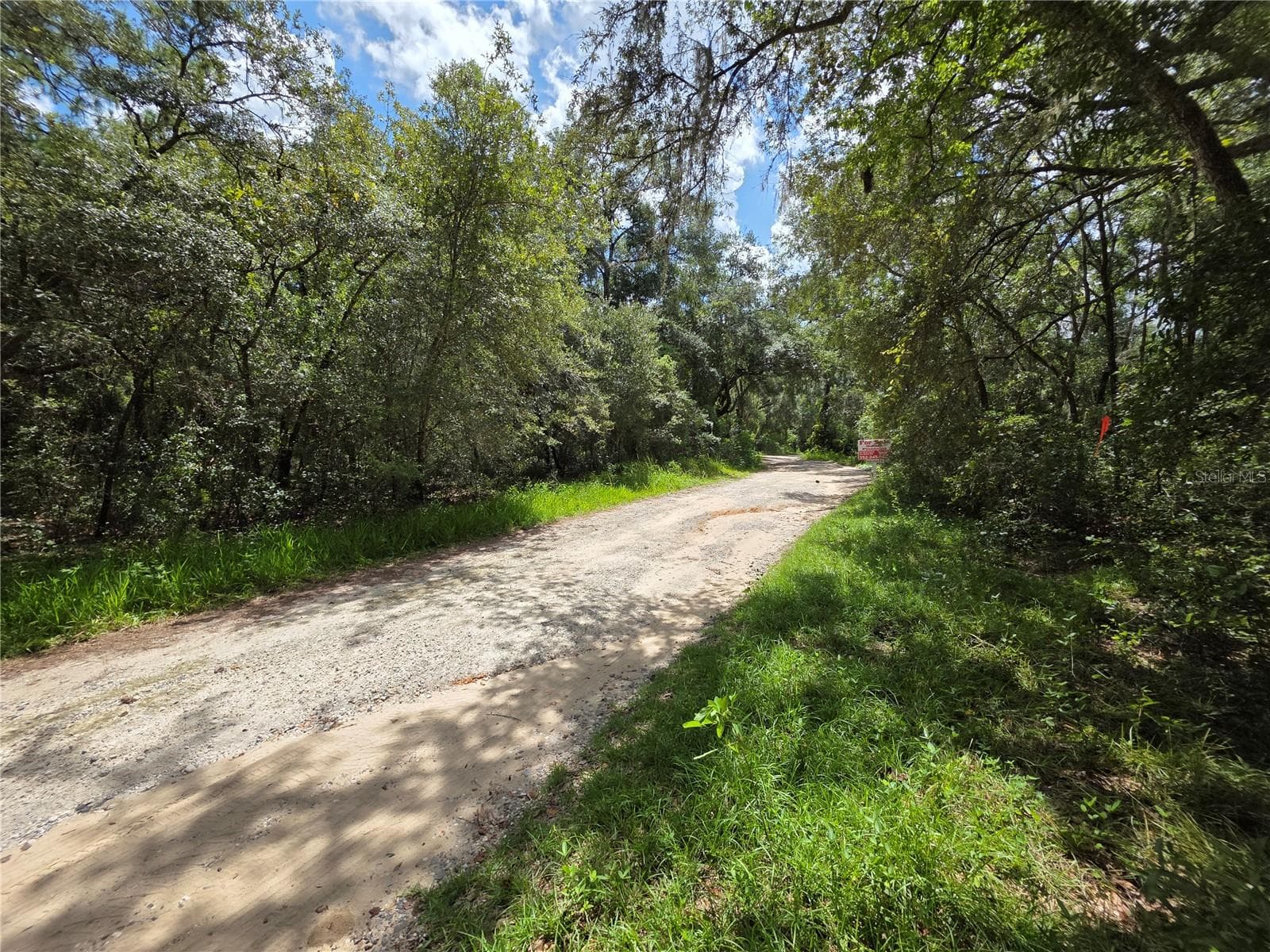View of the road - 00 SE 105TH TER, OCKLAWAHA
