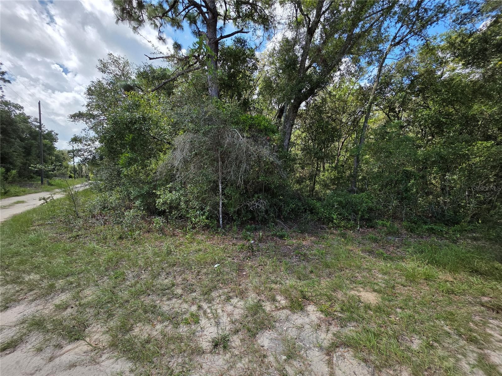 The property is on the corner - 00 SE 132ND PL, OCKLAWAHA