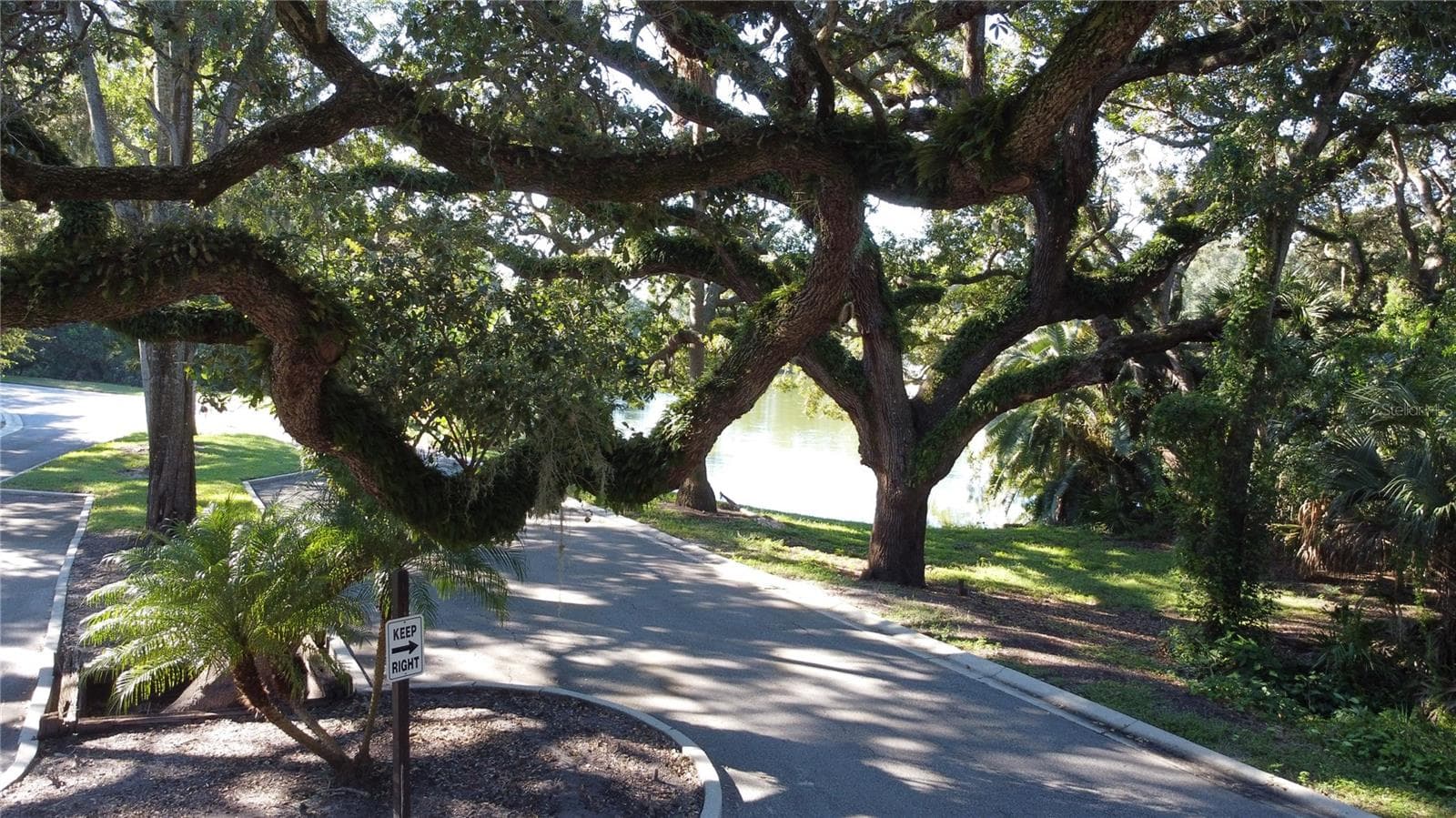 Mature tree lined streets - 2713 11TH CT, PALM HARBOR