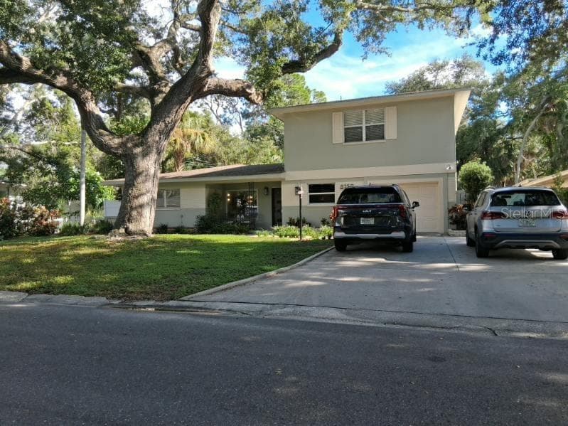 Recently and well-trimmed oak tree in front yard - 8220 YARDLEY AVE N, ST PETERSBURG