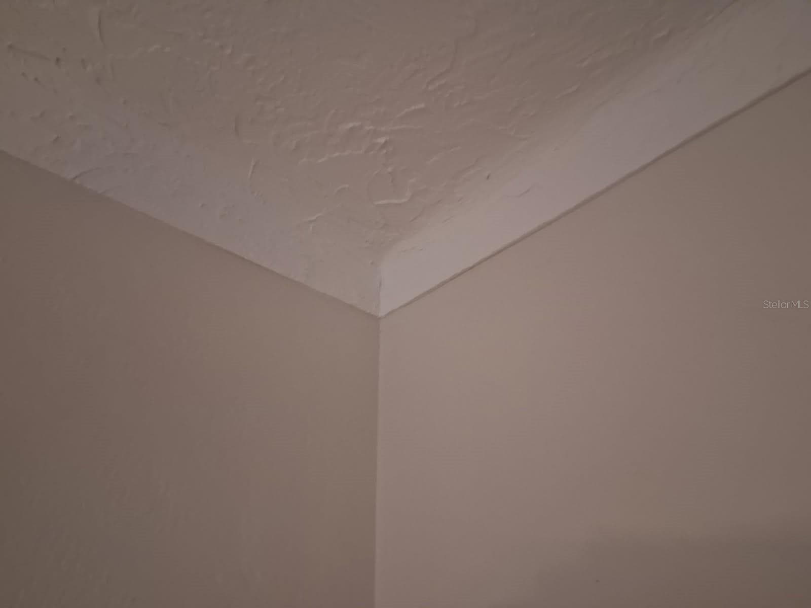 Example of coved ceilings; beautiful and cool-to-the-touch stucco details throughout - 8220 YARDLEY AVE N, ST PETERSBURG