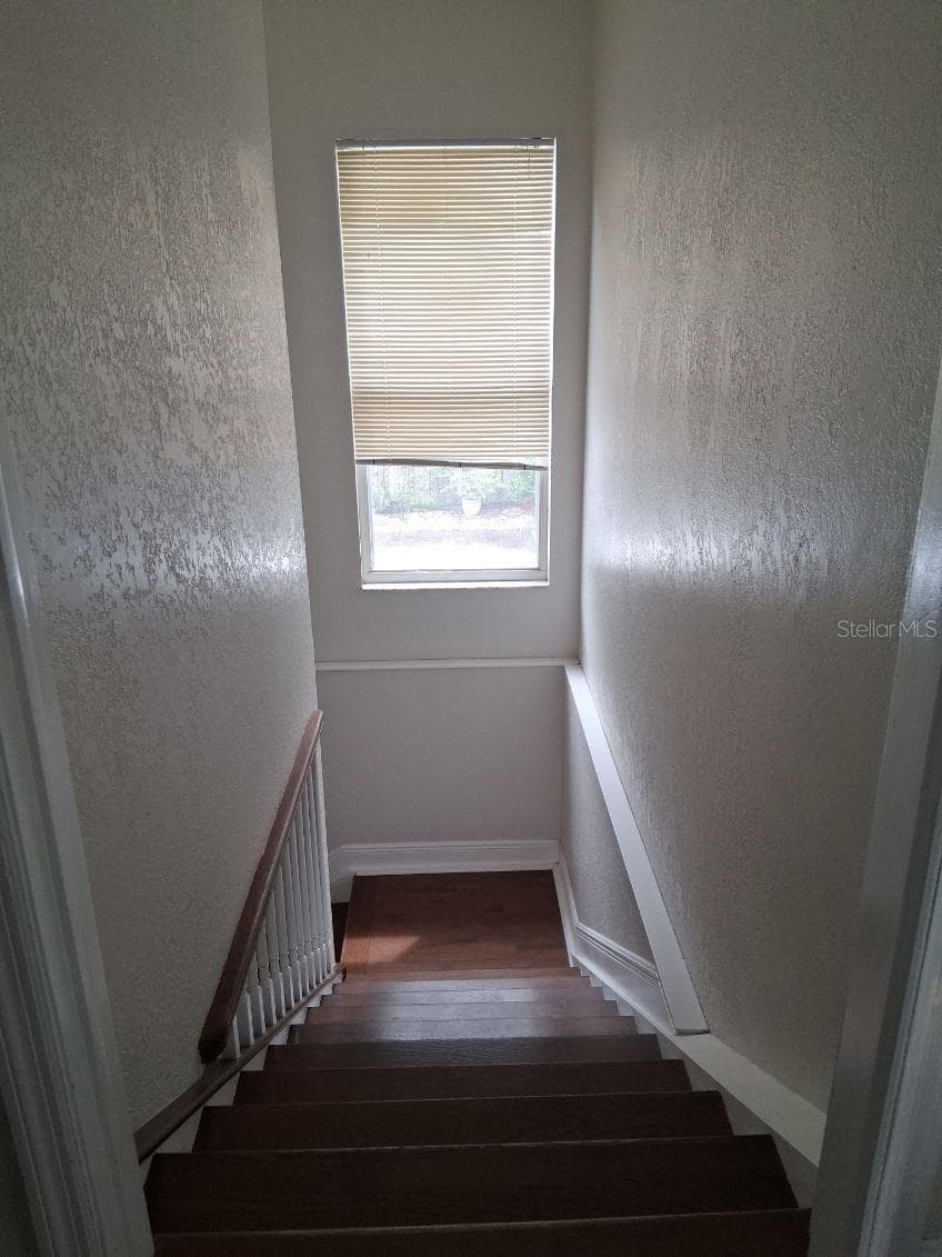 Hardwood on the stairs - 8220 YARDLEY AVE N, ST PETERSBURG