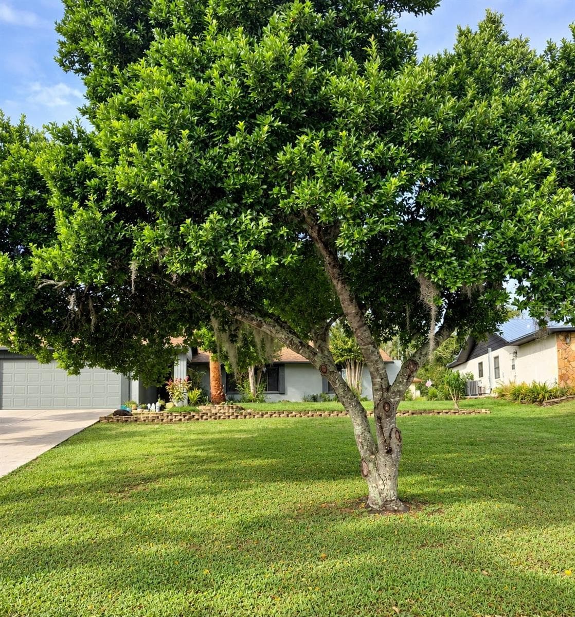 Single Family Residence at 8664 HEATHER BLVD, WEEKI WACHEE, photo 2 of 20