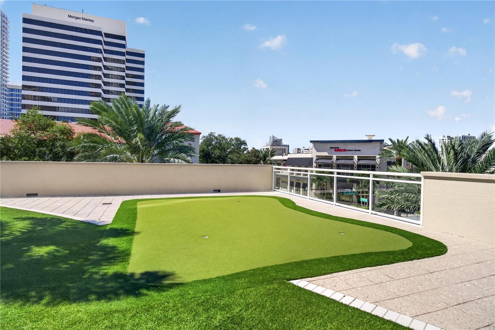 Putting Green - 180 BEACH DR NE #502, ST PETERSBURG