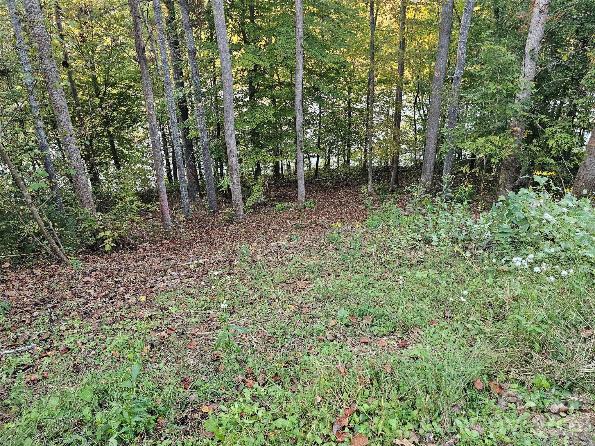Lot at 524 E Settings Boulevard NW, Valdese, photo 19 of 29