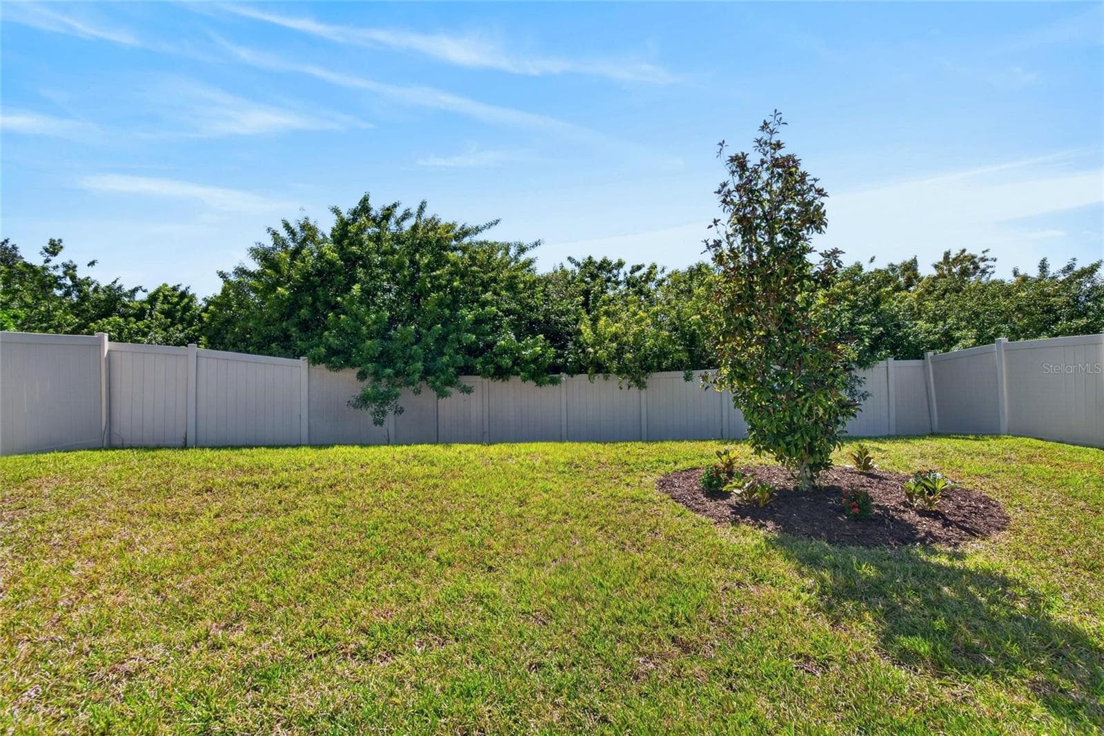 Single Family Residence at 16922 ANCHOR ROOT ST, WIMAUMA, photo 20 of 75