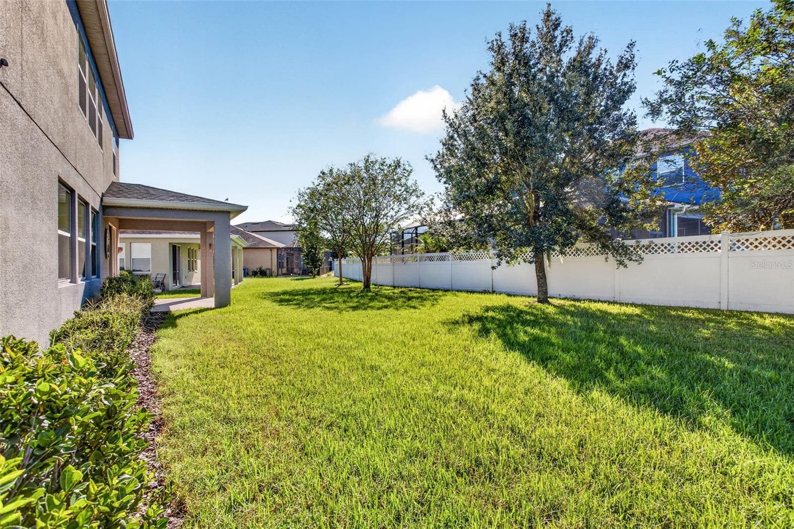 Great outdoor space with plenty of room on each side too! - 33455 AZALEA RIDGE DR, WESLEY CHAPEL