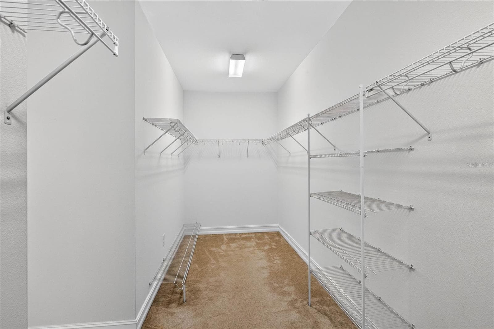 Walk in closet - 33455 AZALEA RIDGE DR, WESLEY CHAPEL