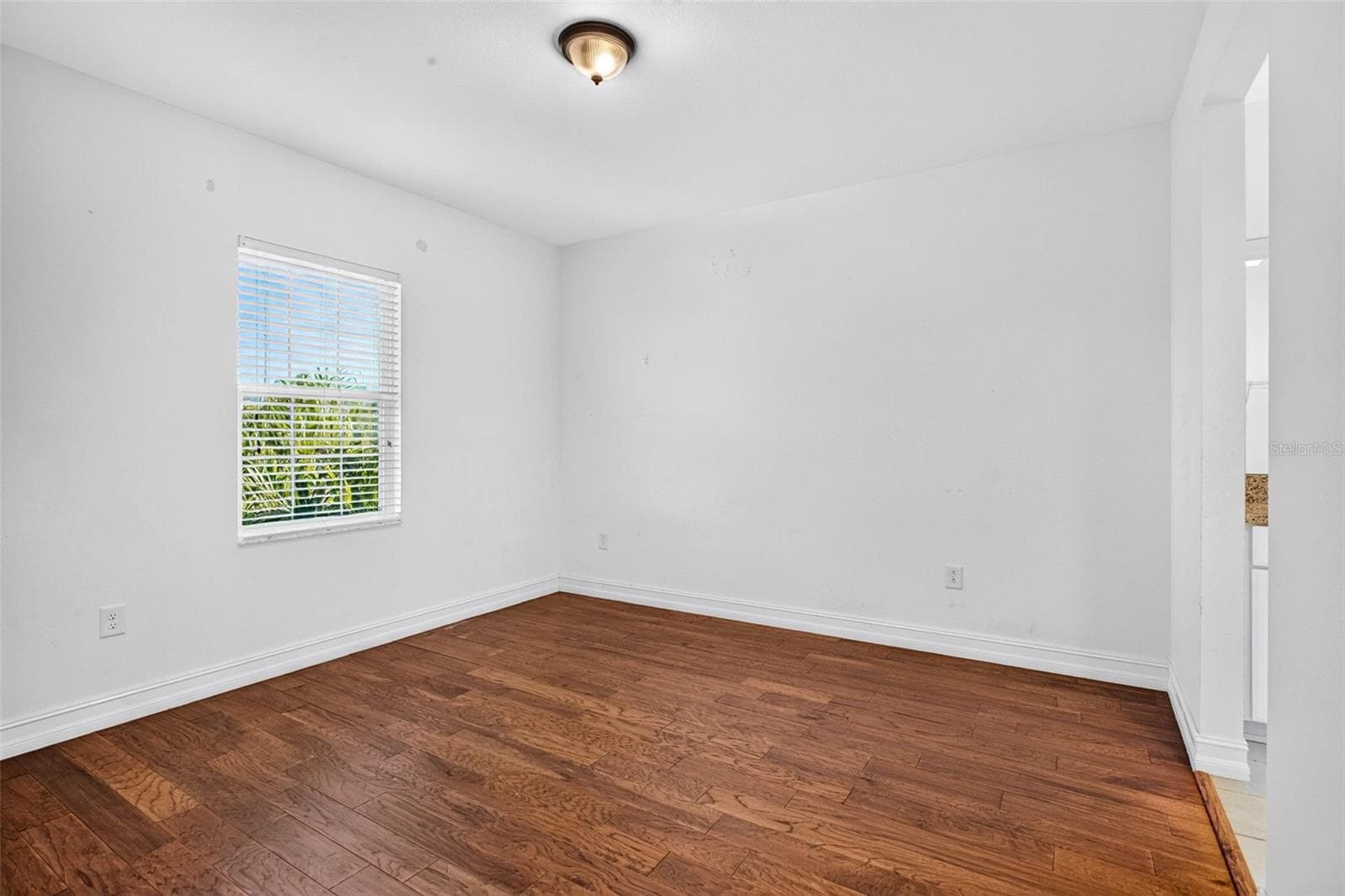 Bedroom 2 - 33455 AZALEA RIDGE DR, WESLEY CHAPEL
