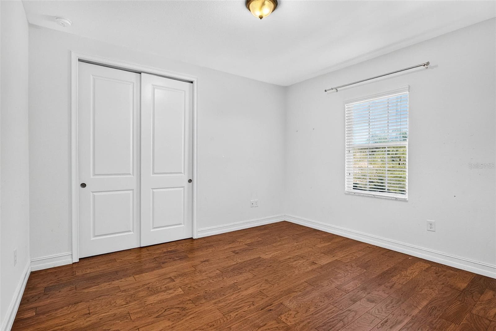 Bedroom 3 - 33455 AZALEA RIDGE DR, WESLEY CHAPEL