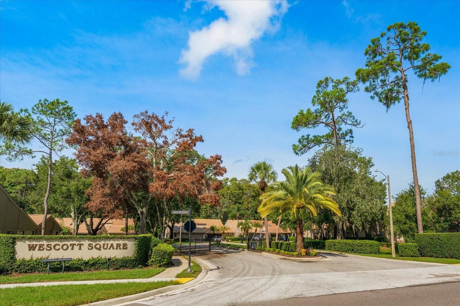 Front entrance - 3160 JADEMOOR CIR, PALM HARBOR