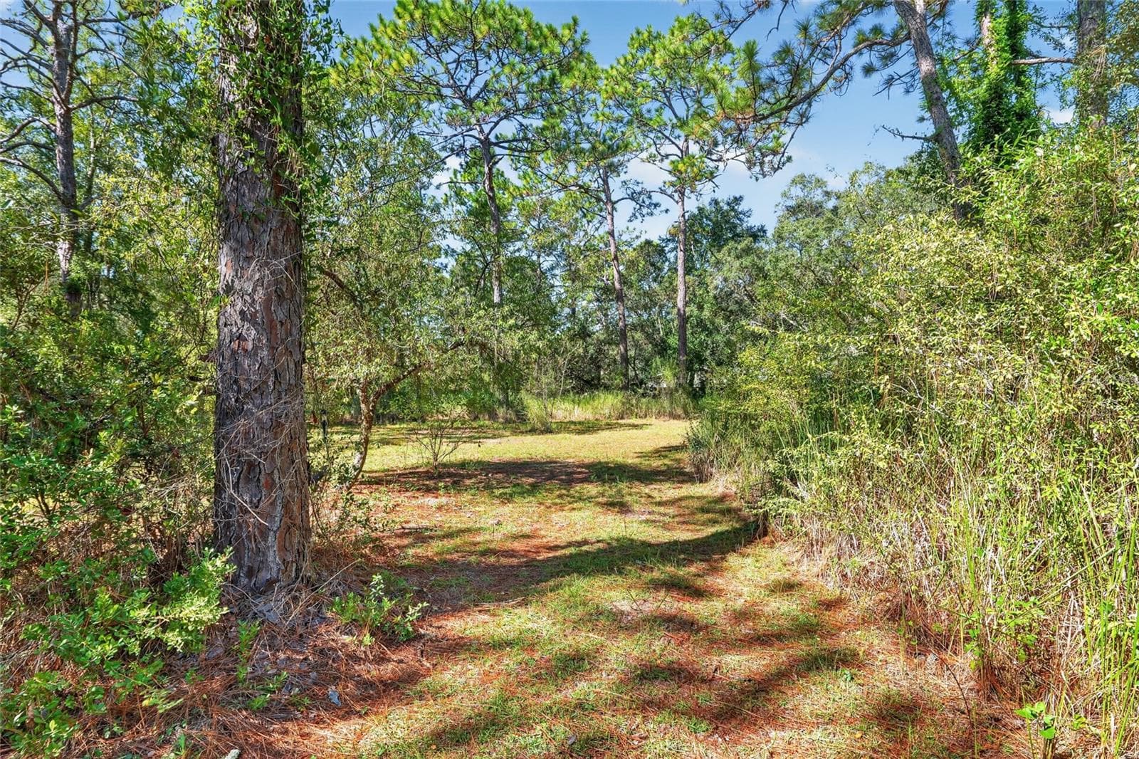 Single Family Residence at 8680 N MEYER SQ, DUNNELLON, photo 63 of 67