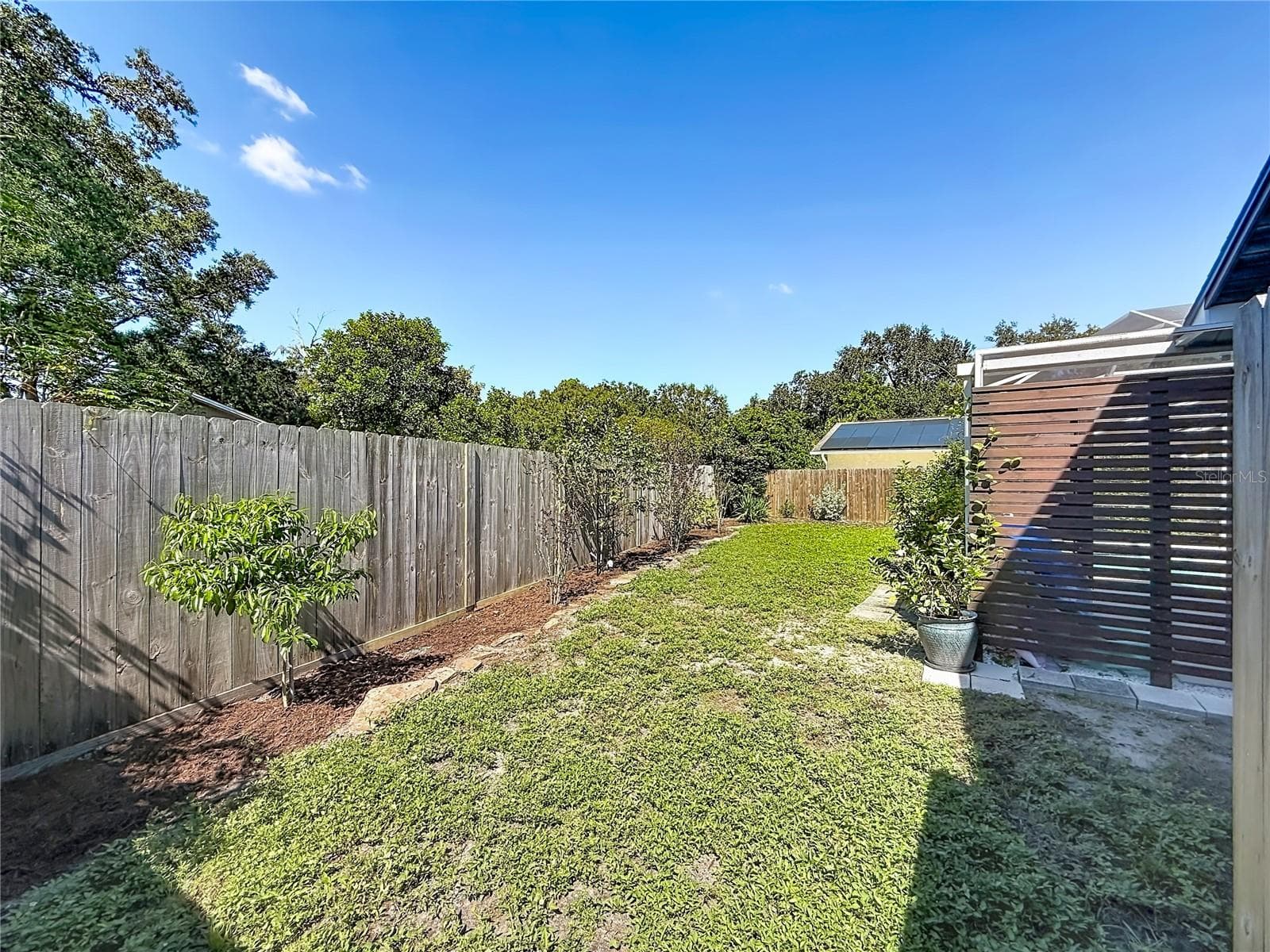 Rear Yard - 1852 SOURWOOD BLVD, DUNEDIN