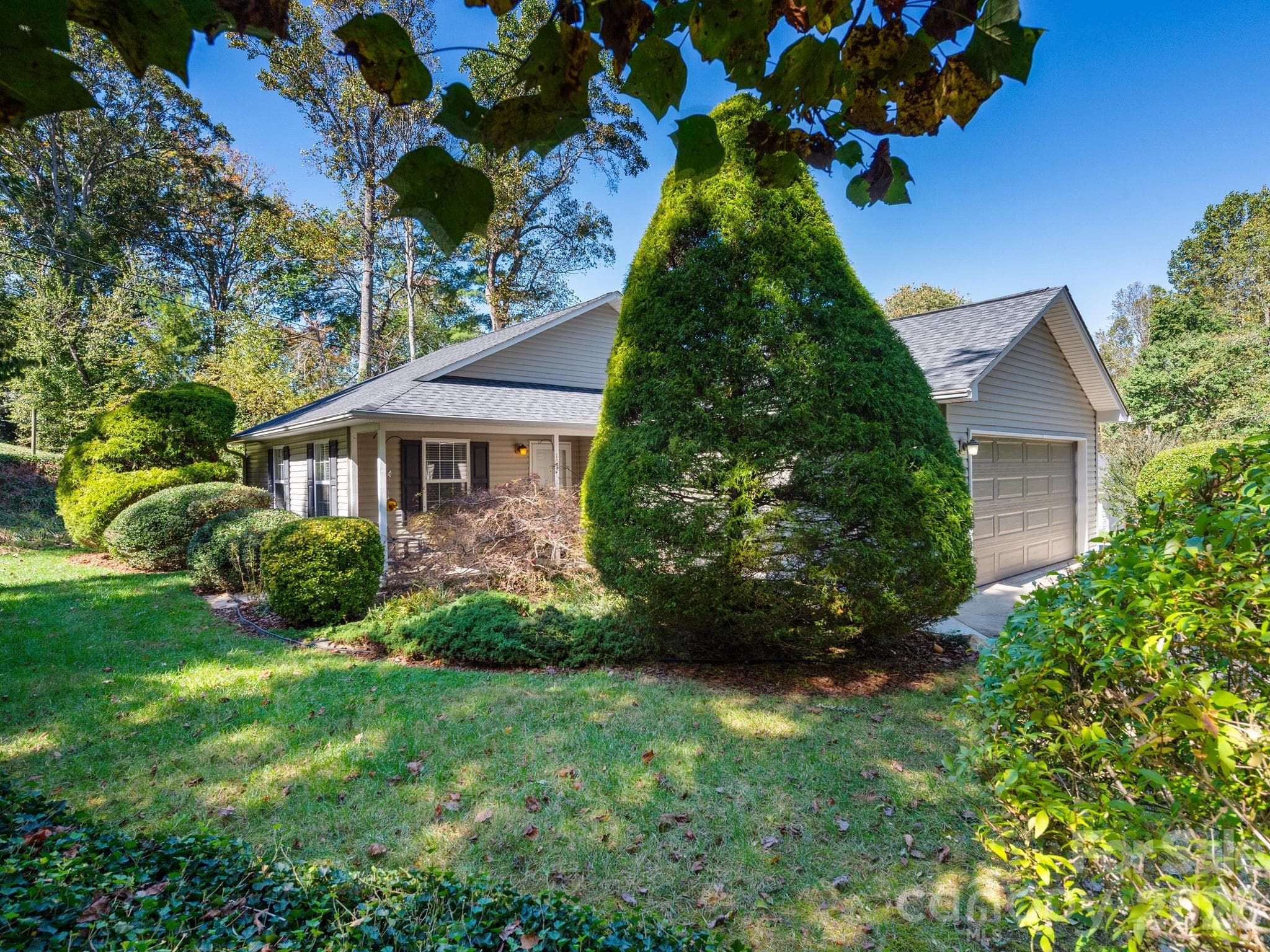 103 Amelia Drive