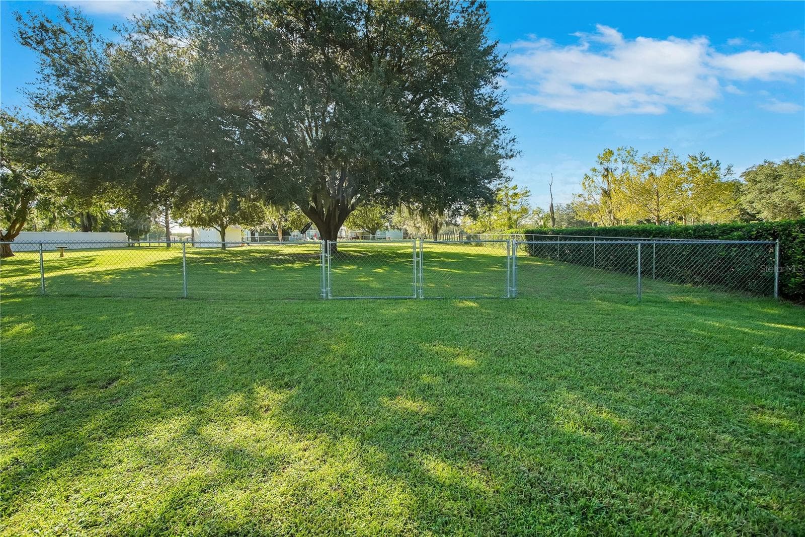 Single Family Residence at 36541 MILL VIEW RD, FRUITLAND PARK, photo 52 of 61