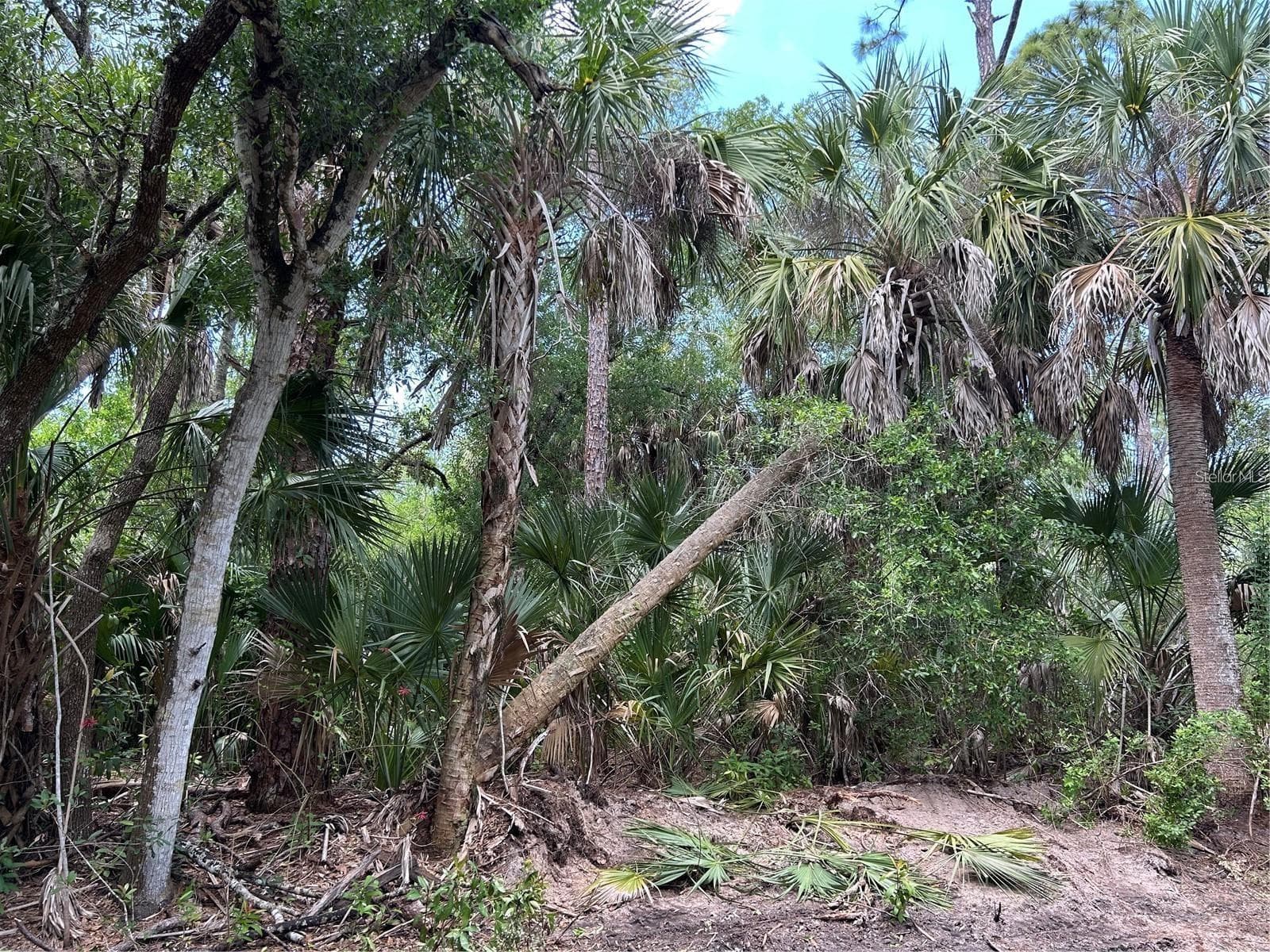 Land at 7022 RIVERSIDE DR, PUNTA GORDA, photo 3 of 14