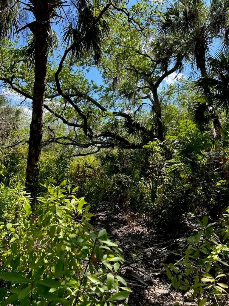 Land at 7022 RIVERSIDE DR, PUNTA GORDA, photo 9 of 14