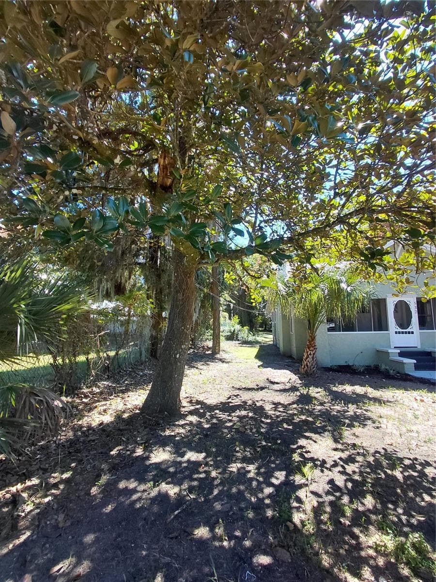Left side view - 532 E RICH AVE, DELAND