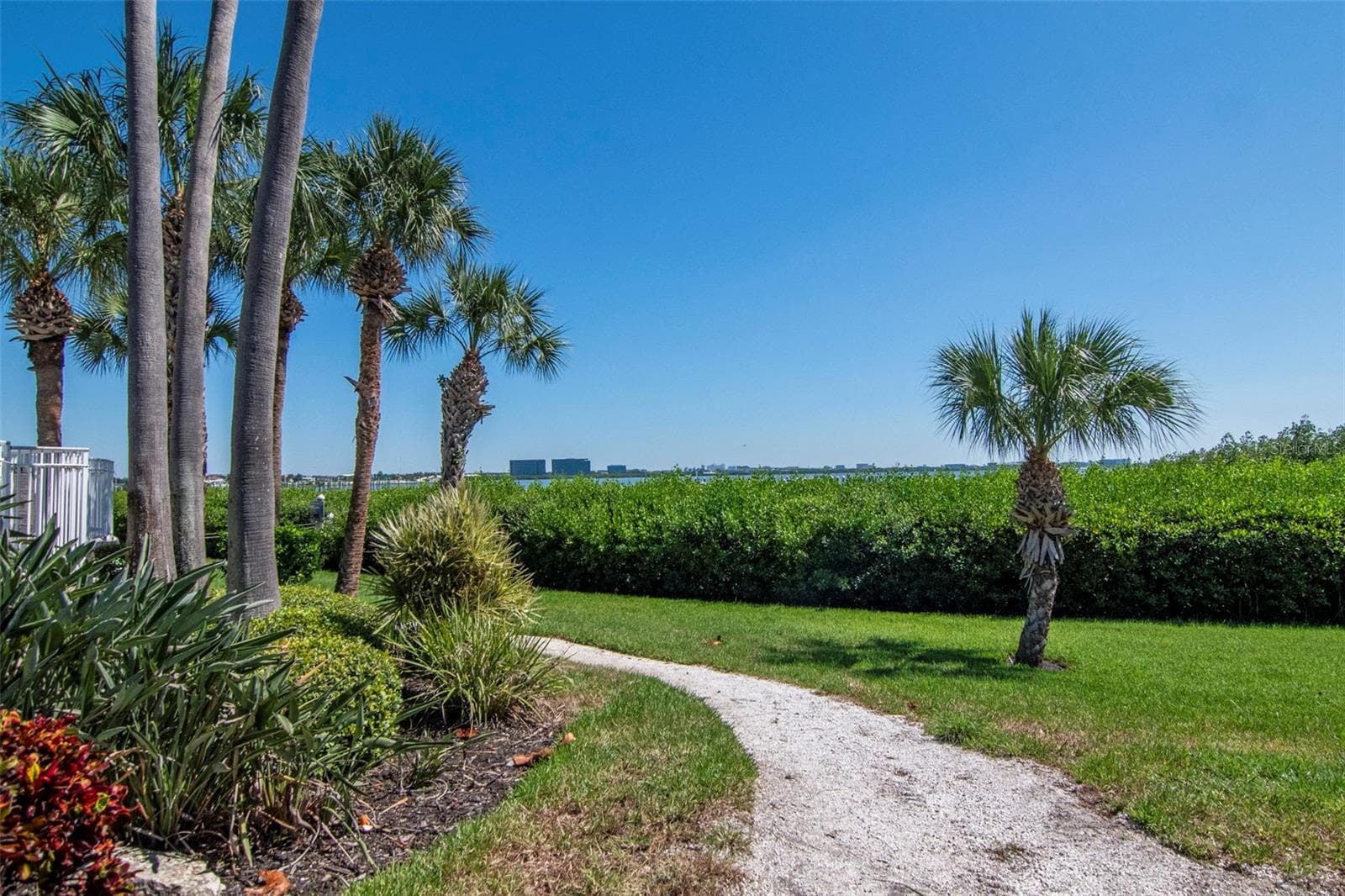 Path to Dock - 4309 BAY CLUB CIR #4309, TAMPA