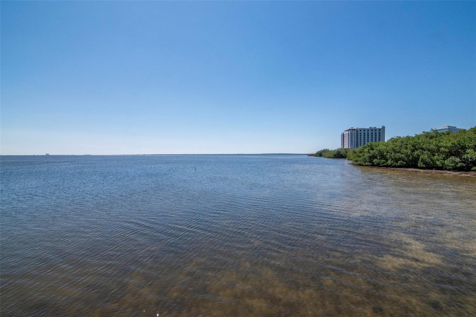 View from Dock to South - 4309 BAY CLUB CIR #4309, TAMPA