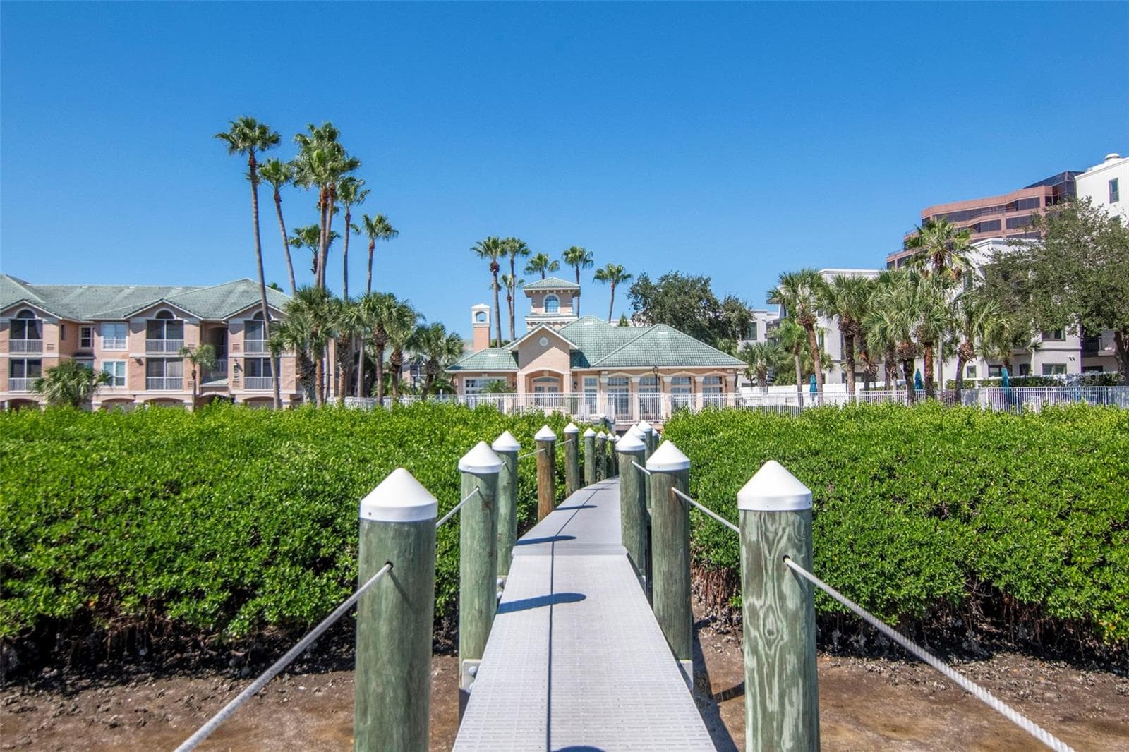 View from Dock to Clubhouse - 4309 BAY CLUB CIR #4309, TAMPA