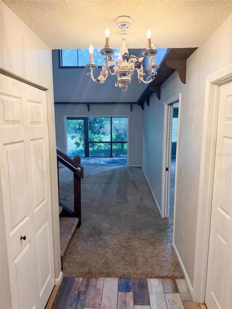 Entryway - 14714 OAK VINE DR, LUTZ
