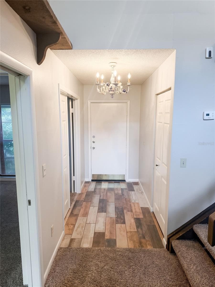 Front Door - 14714 OAK VINE DR, LUTZ