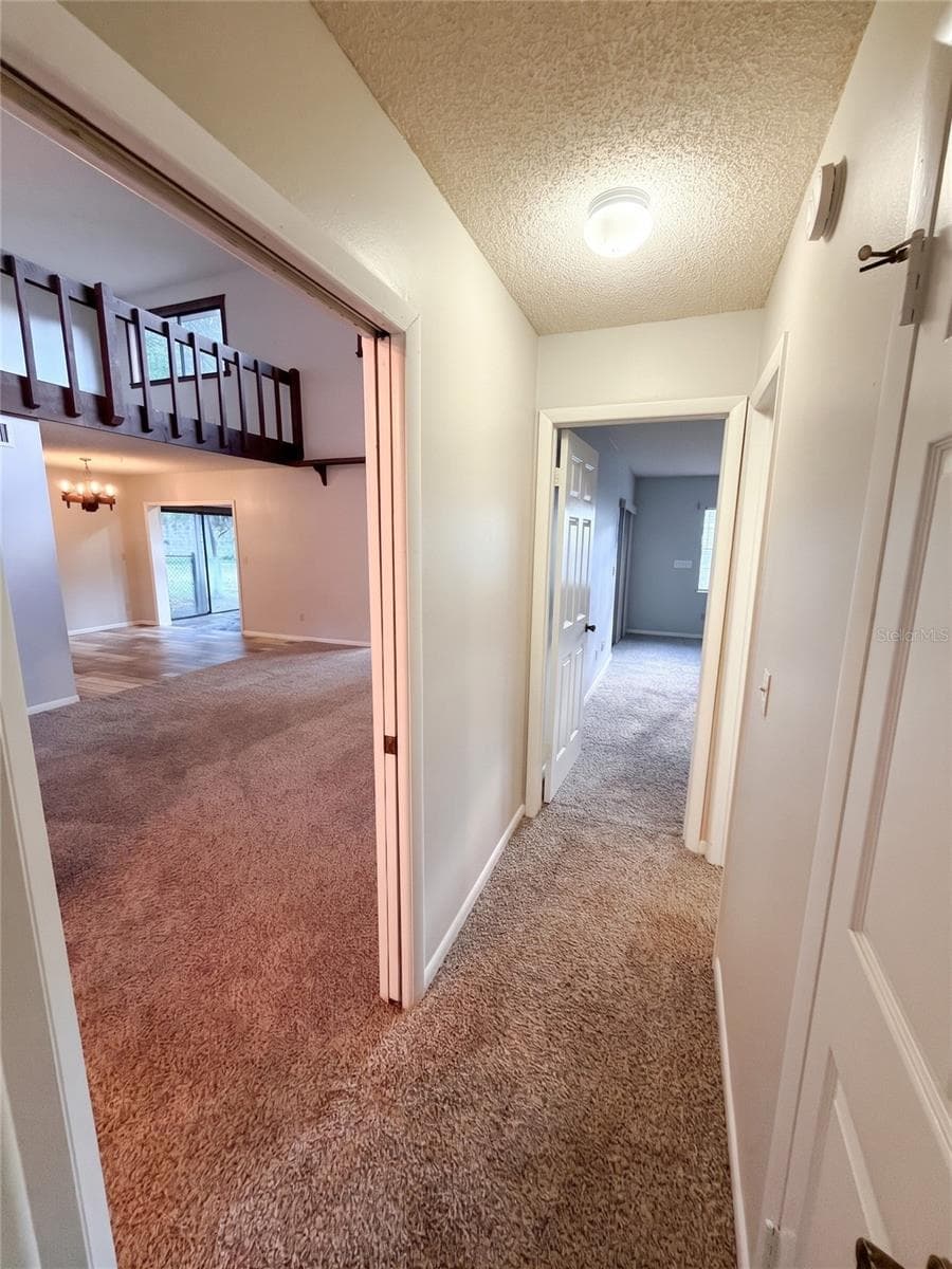 Hallway 1 - 14714 OAK VINE DR, LUTZ