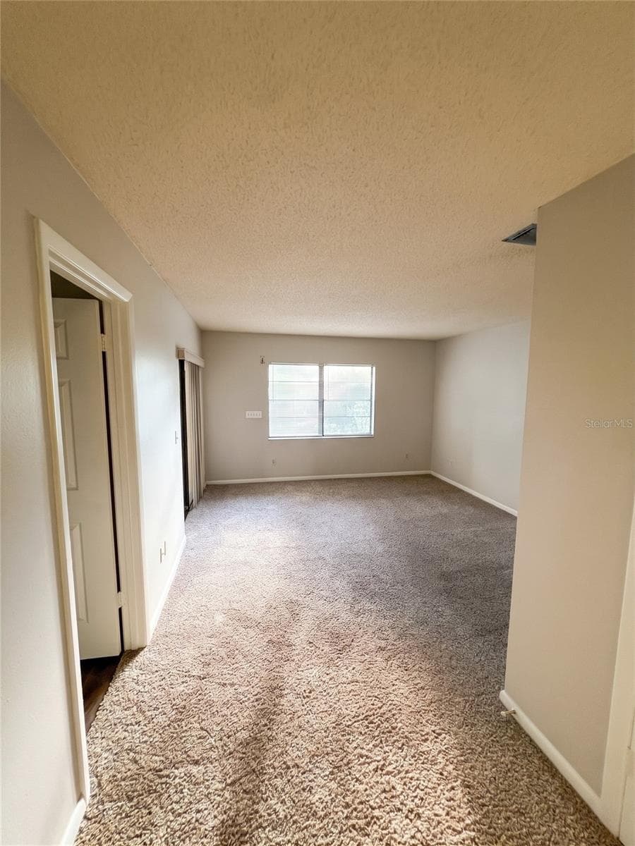 Primary Bedroom - 14714 OAK VINE DR, LUTZ