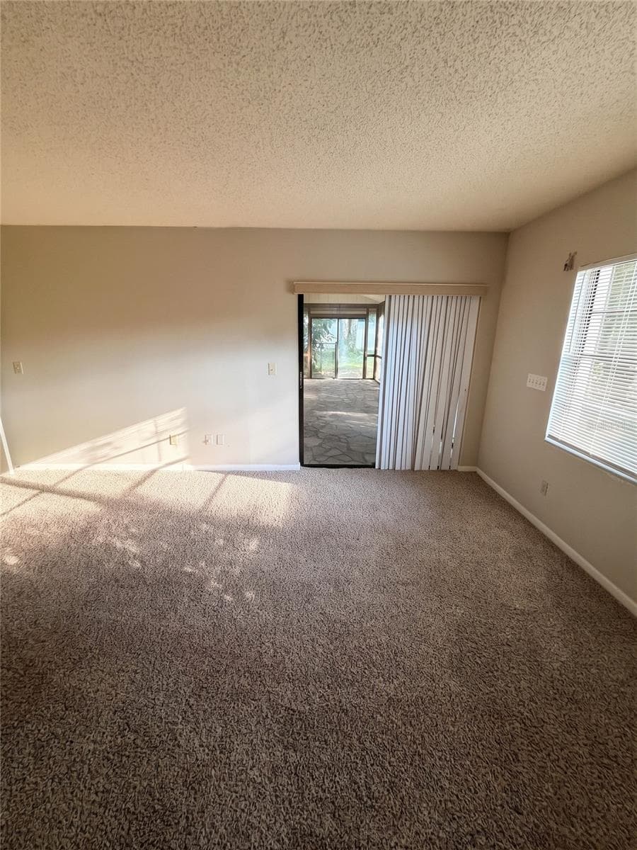 PB Alt View Of Patio - 14714 OAK VINE DR, LUTZ
