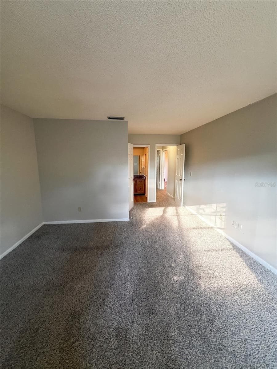PB Alt View Of Entry - 14714 OAK VINE DR, LUTZ