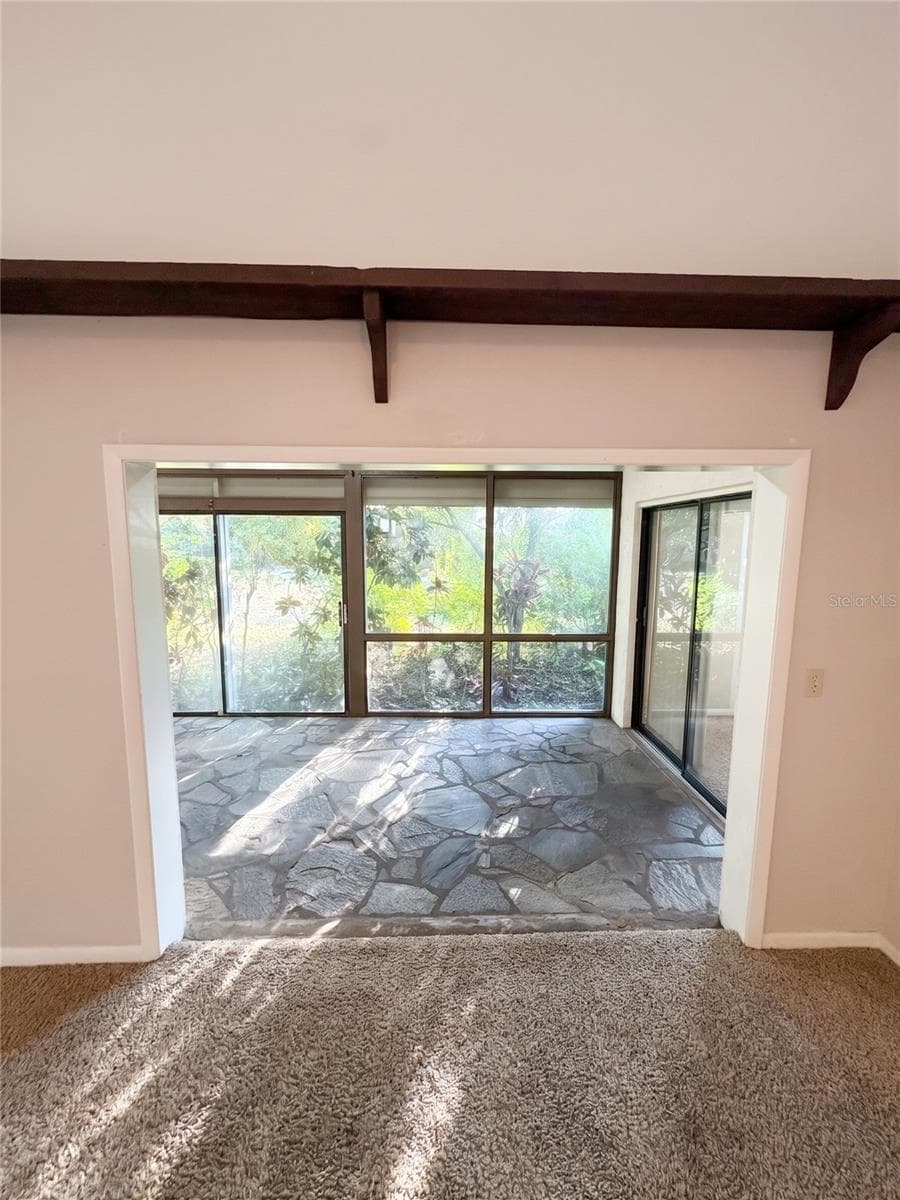 Sunroom - 14714 OAK VINE DR, LUTZ