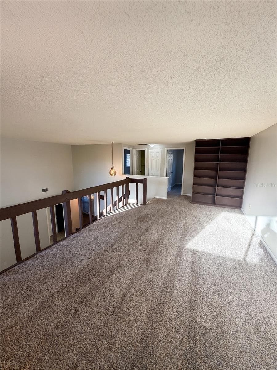 Loft Alt View 2 - 14714 OAK VINE DR, LUTZ